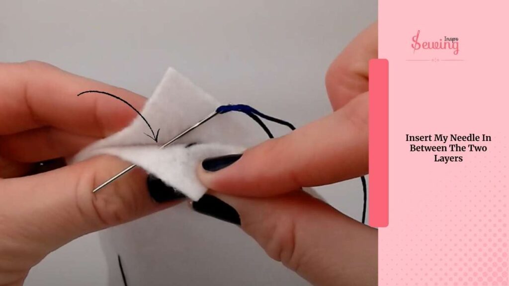 Insert My Needle In Between The Two Layers