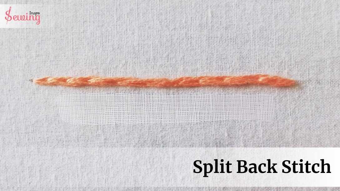 Split Back Stitch