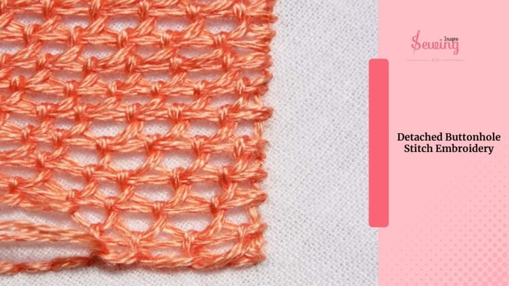 Detached Buttonhole Stitch Embroidery