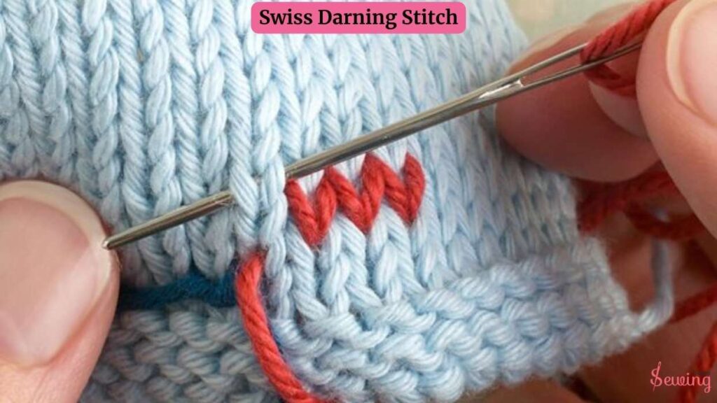 Swiss Darning Stitch