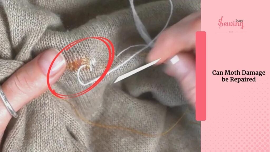 Can Moth Damage Be Repaired With Invisible Mending Moth Holes