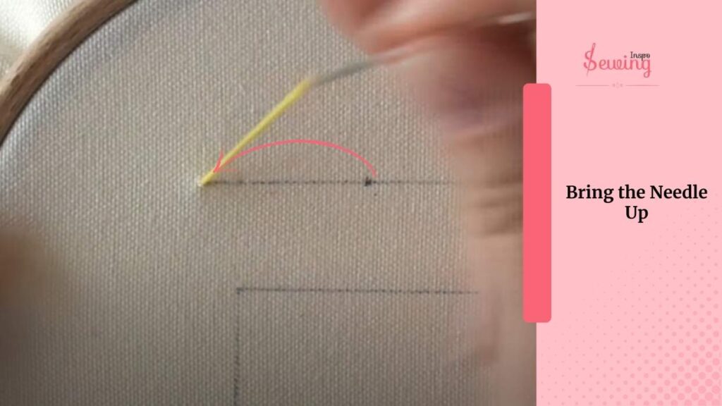 Bring the Needle Up