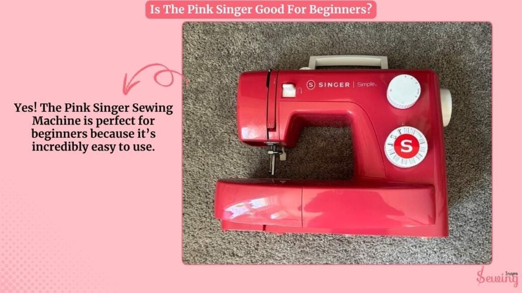 Is The Pink Singer Good For Beginners