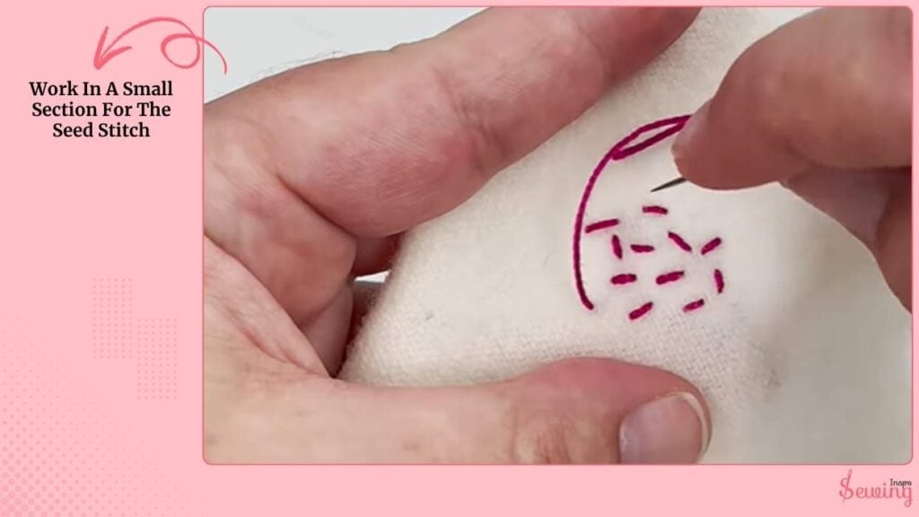 Work In A Small Section For The Seed Stitch