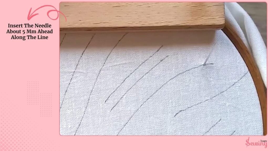 Insert The Needle About 5 Mm Ahead Along The Line